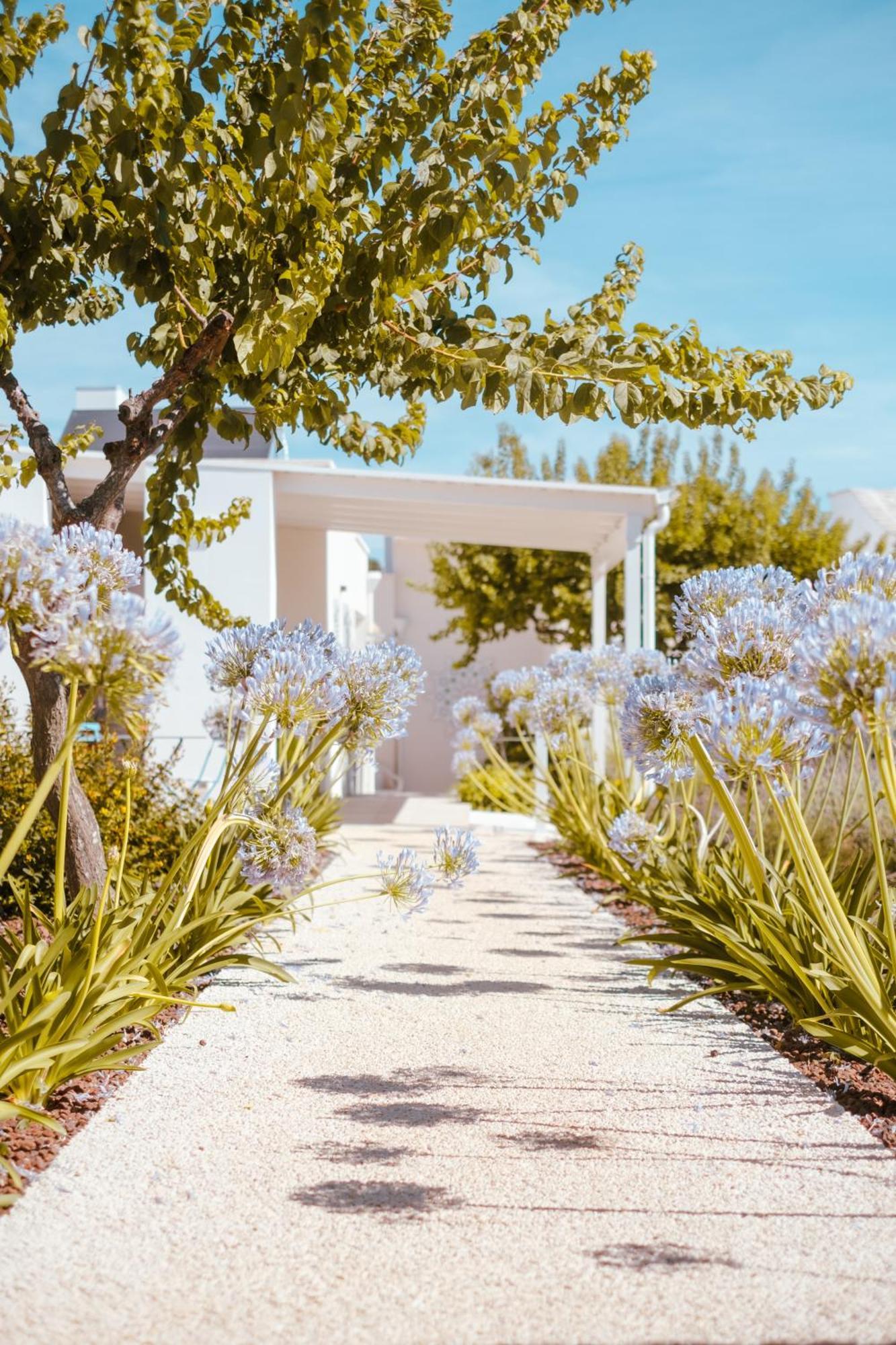Iconica Luxury Suites Alberobello Zewnętrze zdjęcie